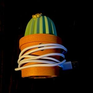 Cactus themed essential oil defuser